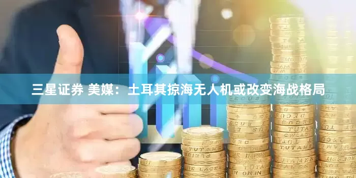 三星证券 美媒：土耳其掠海无人机或改变海战格局