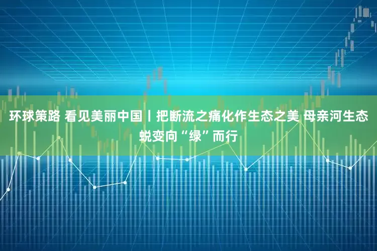 环球策路 看见美丽中国丨把断流之痛化作生态之美 母亲河生态蜕变向“绿”而行